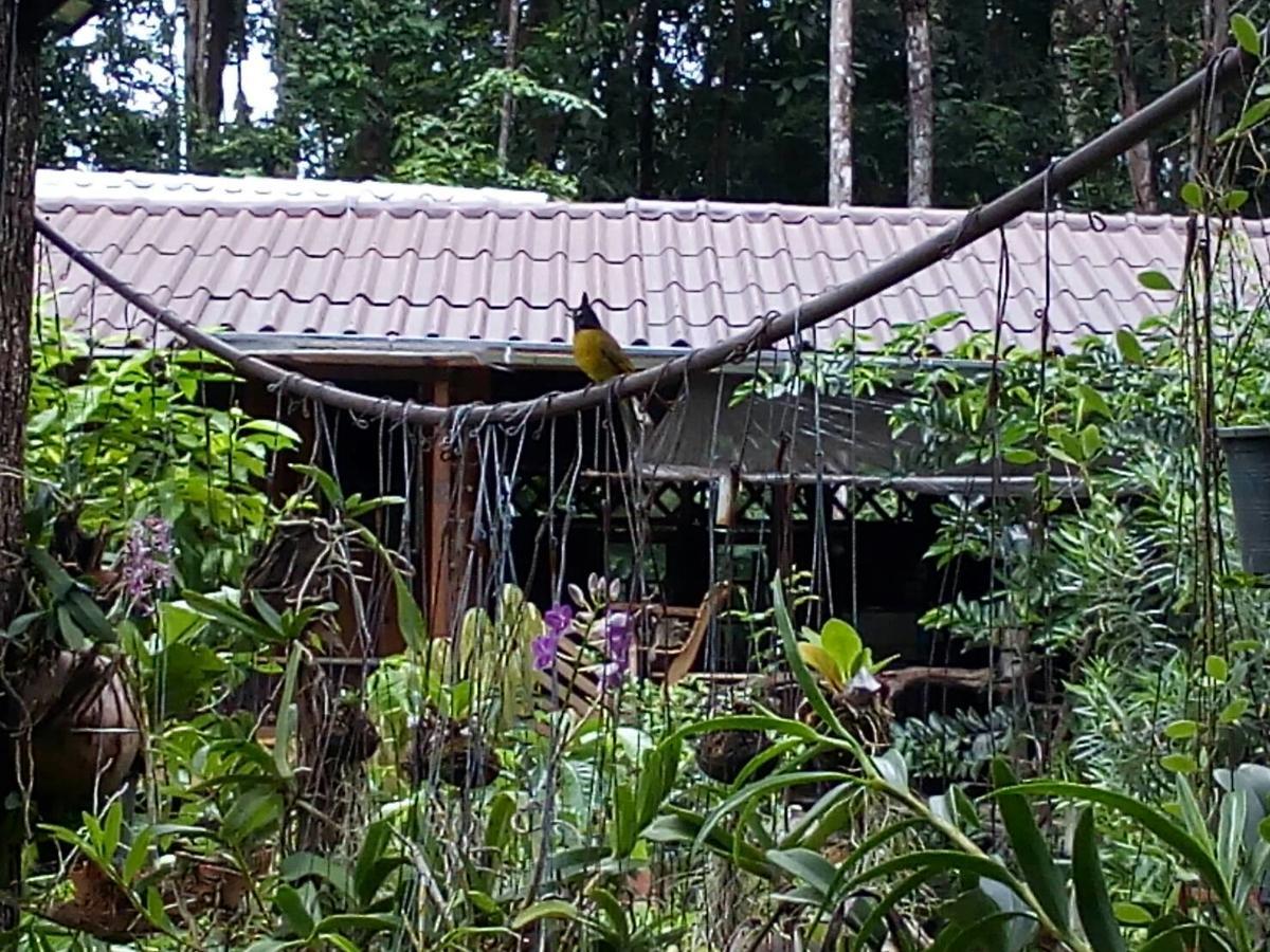 Koh Kood Little Hut Hotel Ko Kut Exterior foto